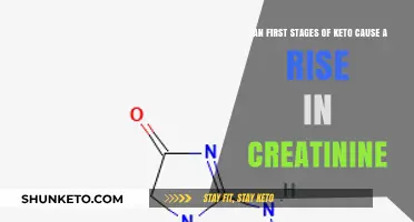 Keto and Creatinine: Understanding Initial Kidney Function Changes