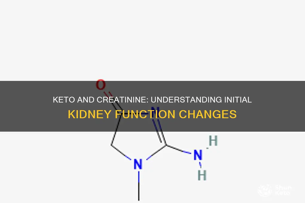 can first stages of keto cause a rise in creatinine