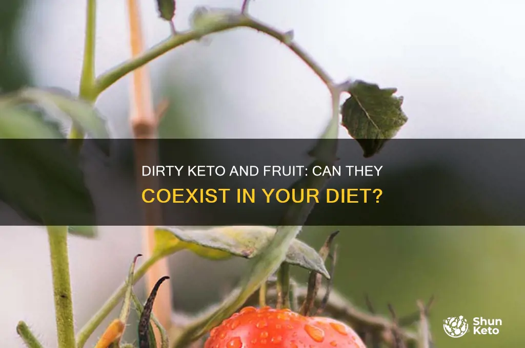 can fruit be included on dirty keto diet