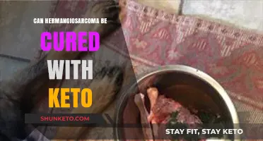 Keto Diet and Hemangiosarcoma: Exploring Potential Cure and Treatment Options