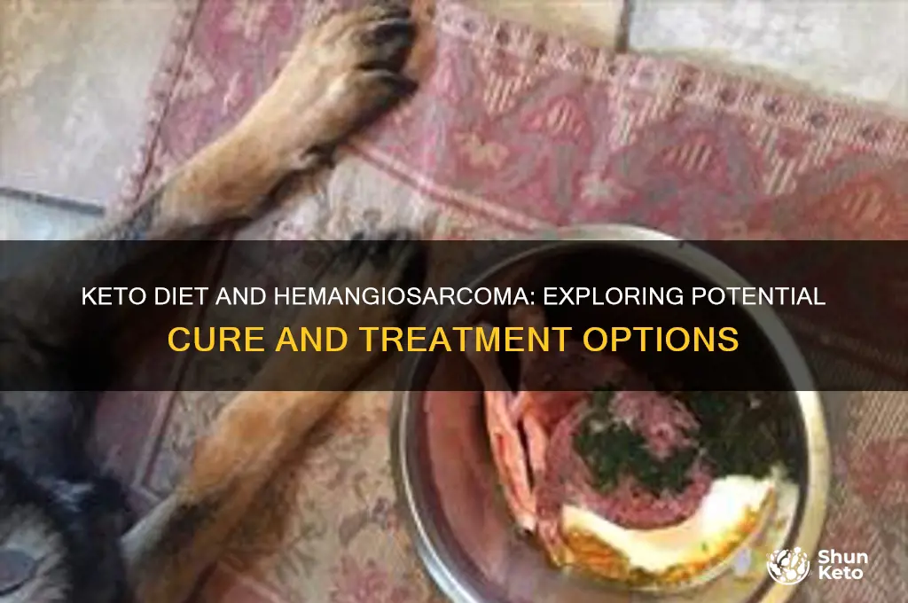 can hermangiosarcoma be cured with keto