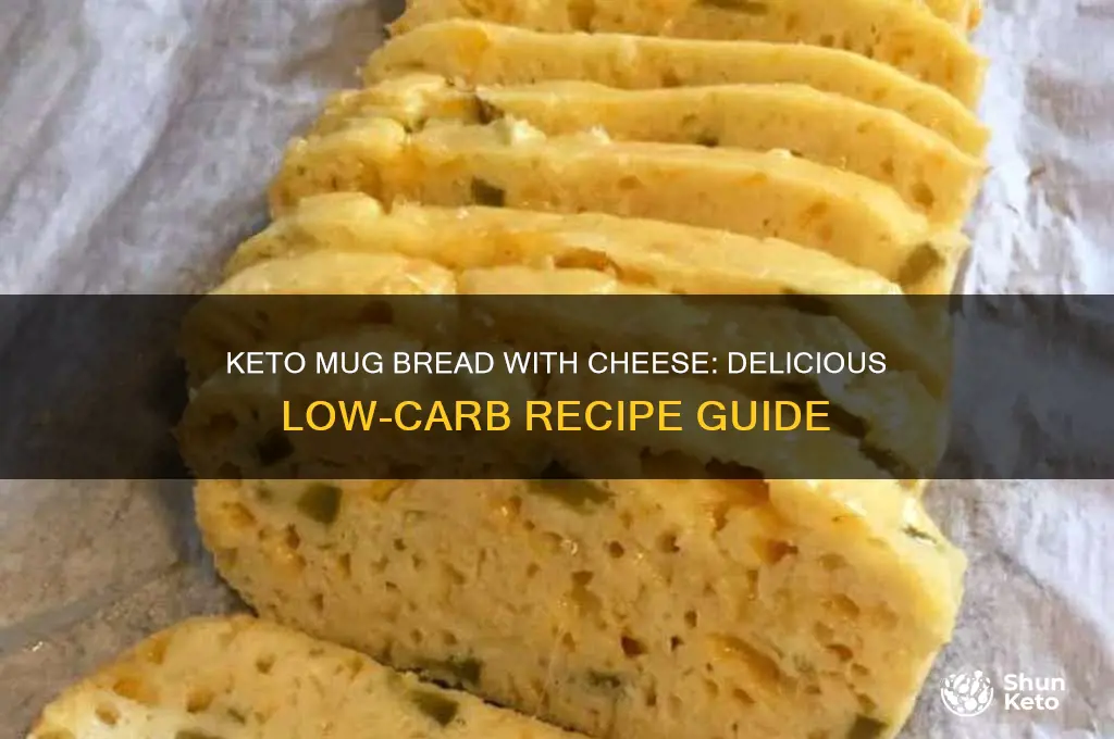can i add cheese to keto mug bread