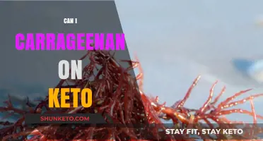 Is Carrageenan Keto-Friendly? A Guide to Low-Carb Thickening Agents