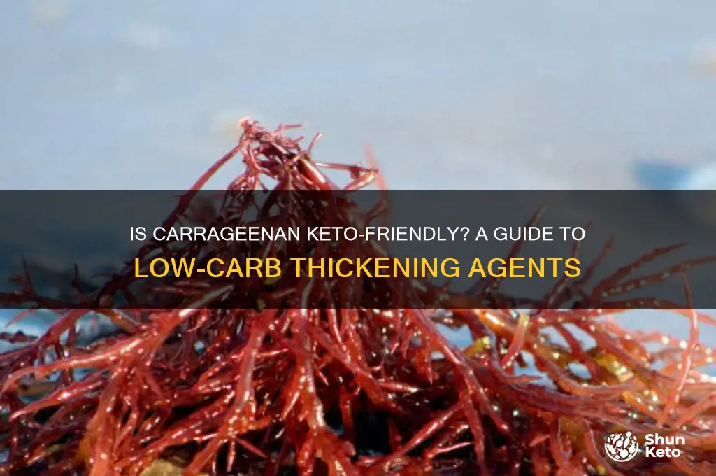 can i carrageenan on keto