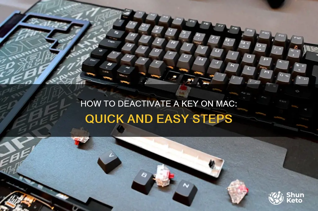 can i deact8vate a ket on mac