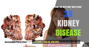 Keto Diet and Stage 3B Kidney Disease: Safe or Risky?