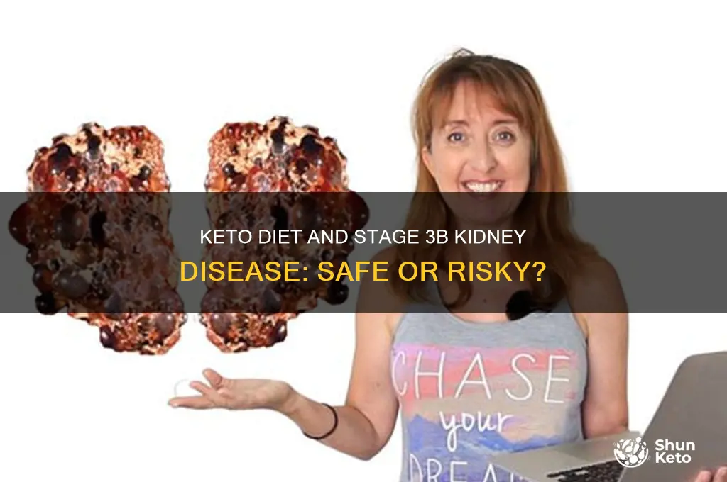 can i do keto diet with stage 3b kidney disease