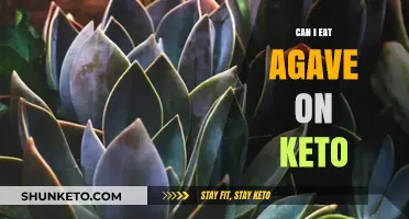 Is Agave Keto-Friendly? What You Need to Know