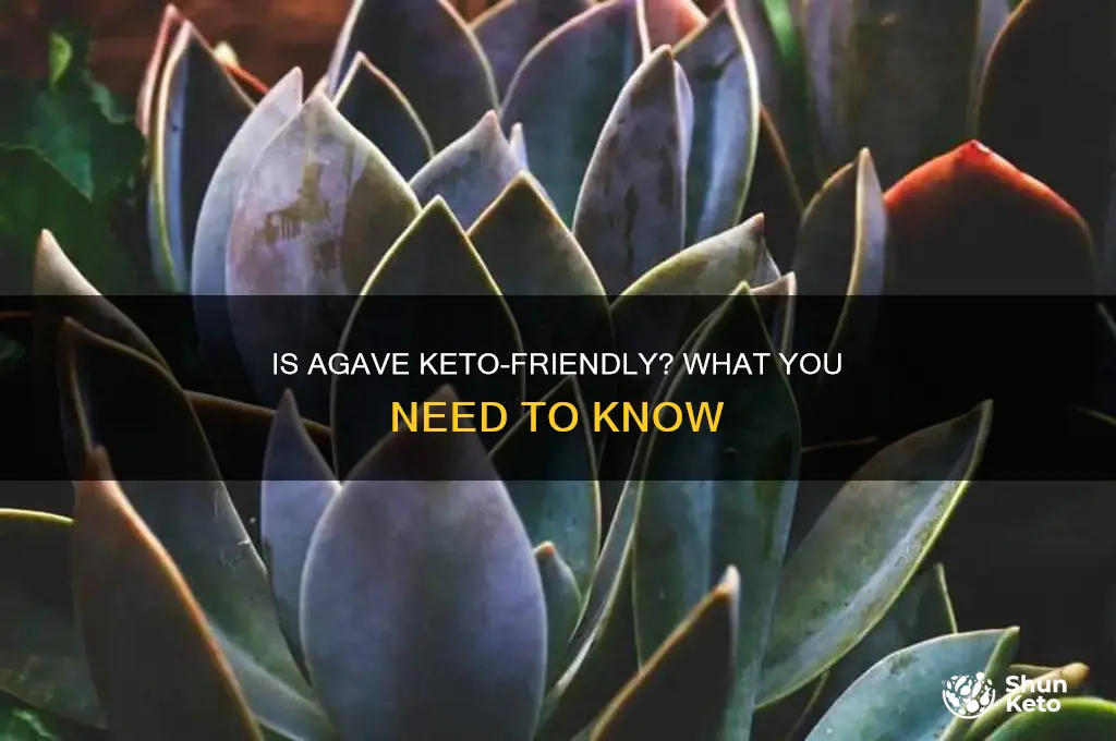 can i eat agave on keto