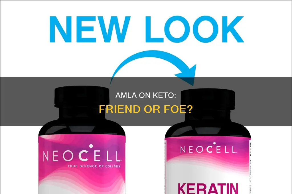 can i eat amla in keto diet