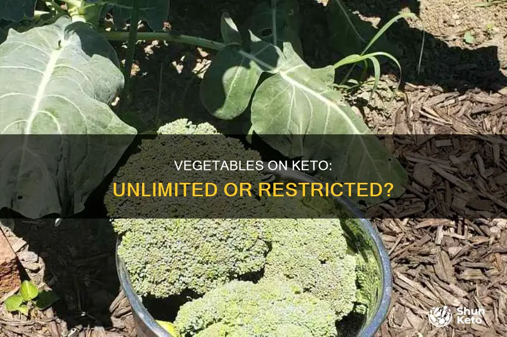 can i eat as many vegetables as i want keto