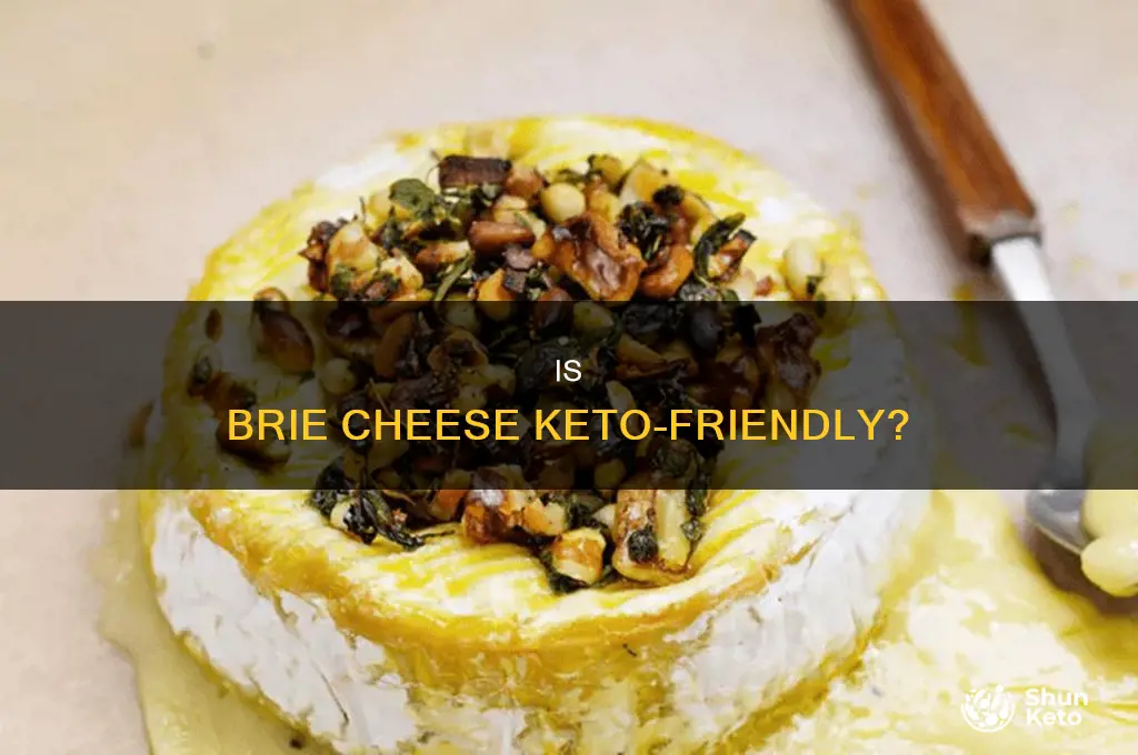 can i eat brie cheese on keto