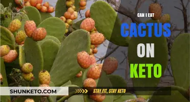 Cactus on Keto: Friend or Foe?