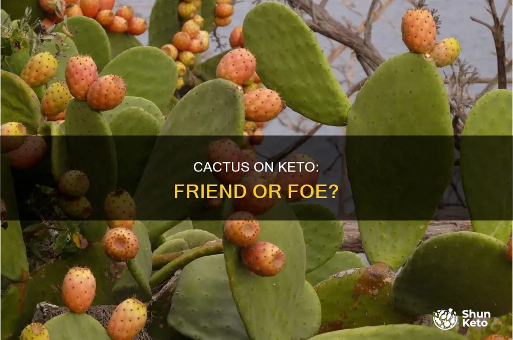can i eat cactus on keto