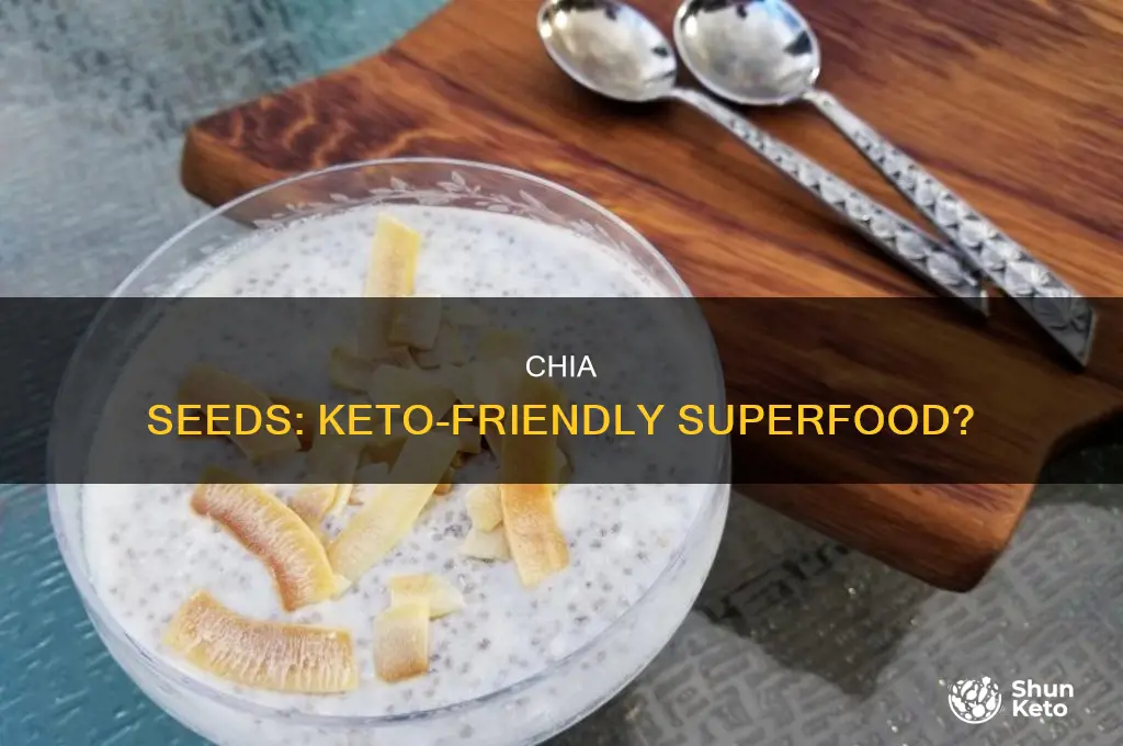 can i eat chia on keto