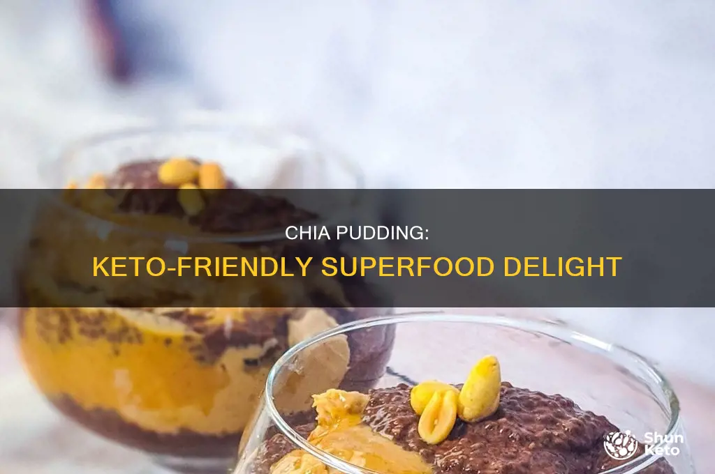 can i eat chia pudding on keto