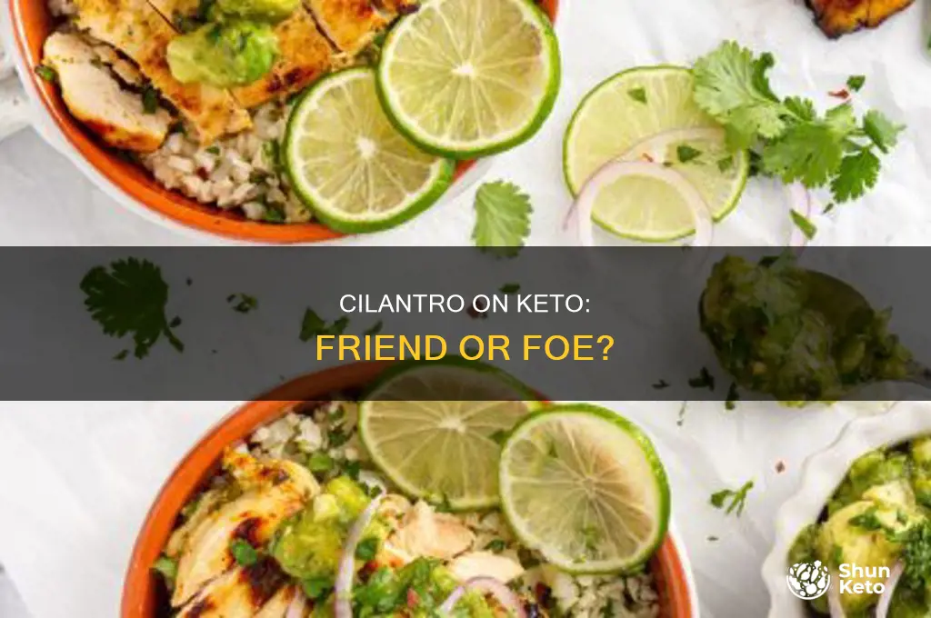 can i eat cilantro on keto