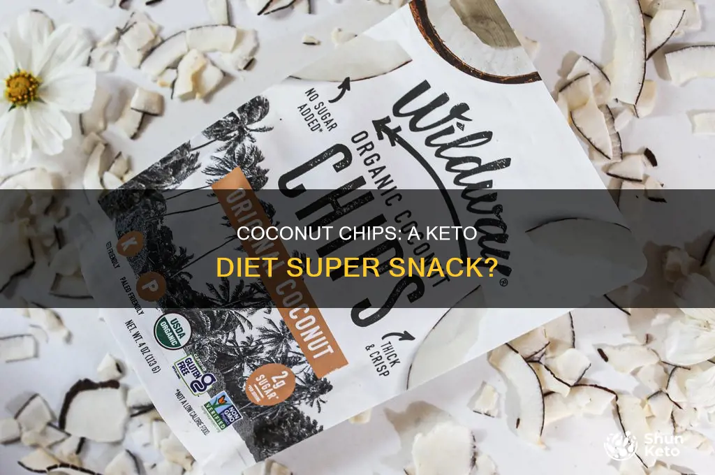 can i eat coconut chips on keto diet
