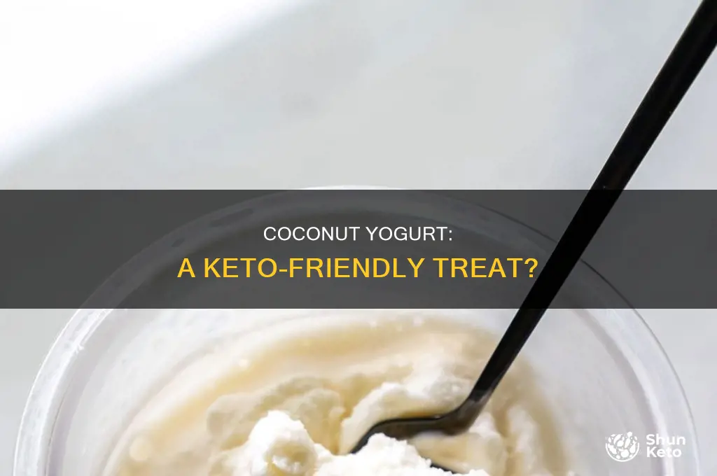 can i eat coconut yoghurt on keto