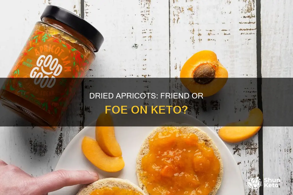 can i eat dried apricots on keto diet
