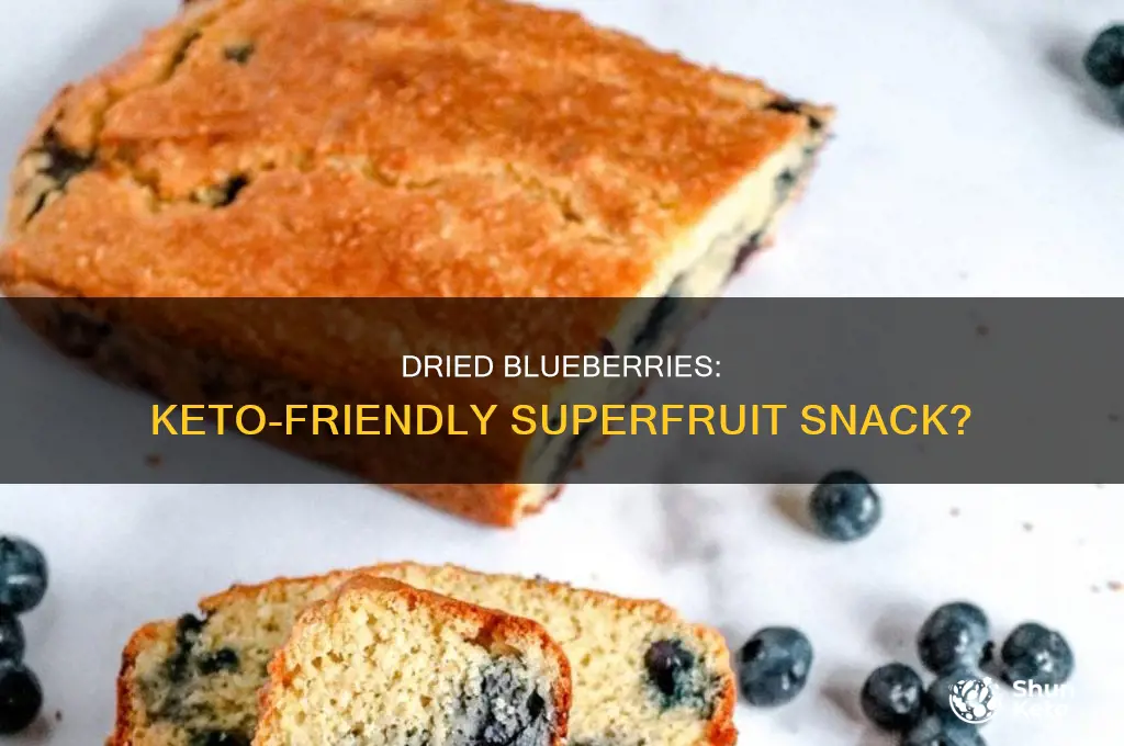 can i eat dried blueberries on keto