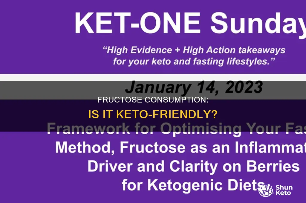 can i eat fructose on keto
