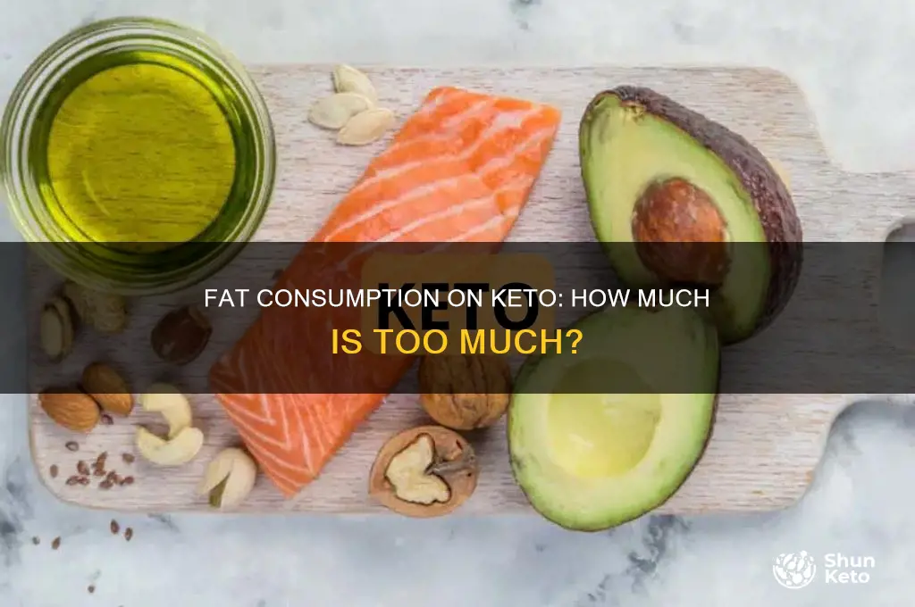 can i eat to much fat on keto