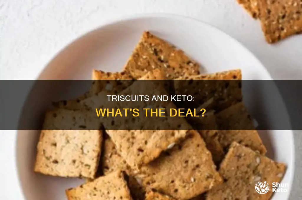 can i eat triscuits on keto diet