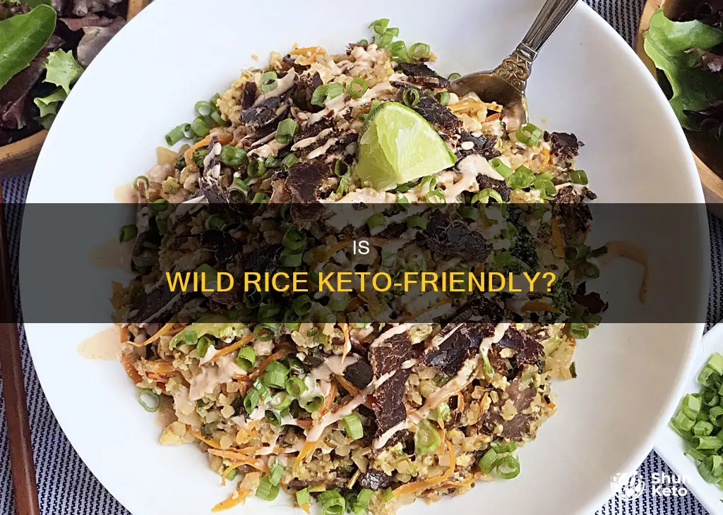 can i eat wild rice on a keto diet