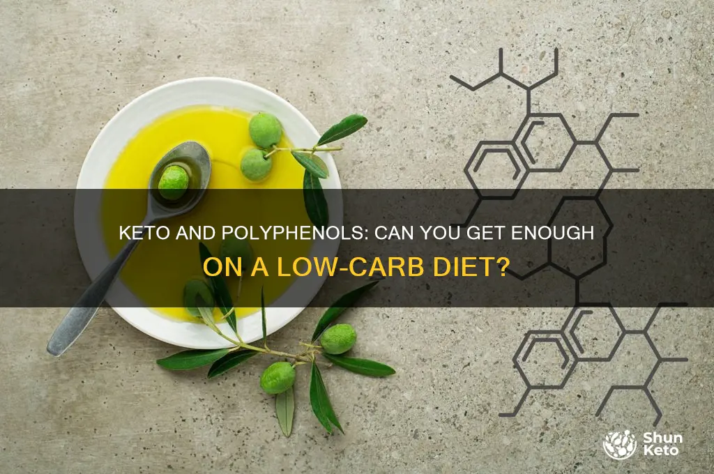 can i get all my polyphenols on keto
