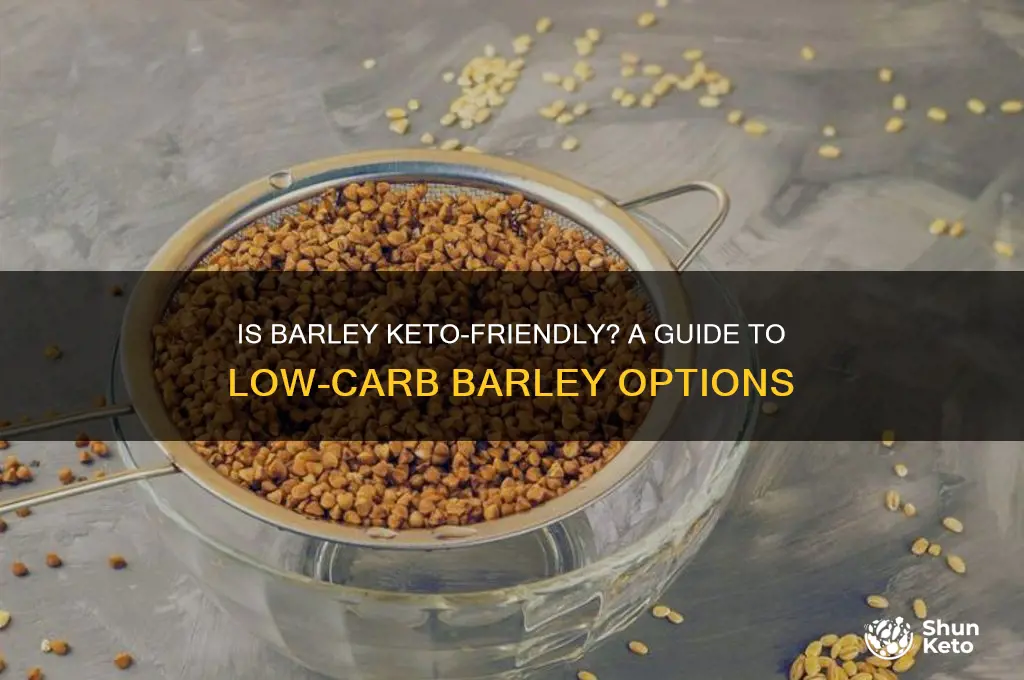 can i have a bit of barley keto