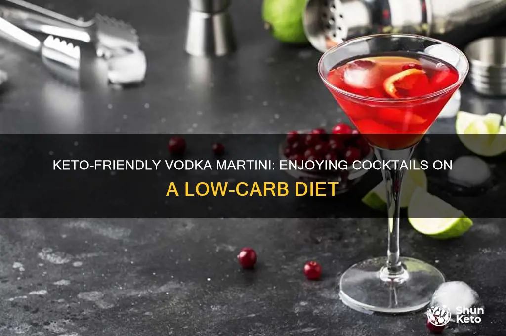 can i have a vodka martini on the keto diet