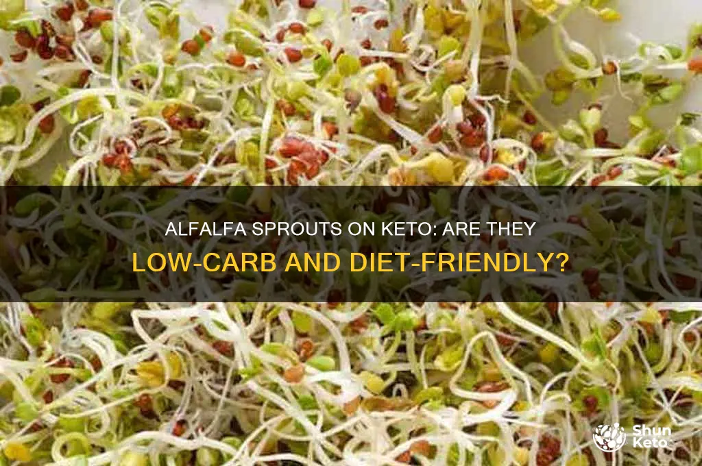 can i have alfalfa sprouts on keto diet