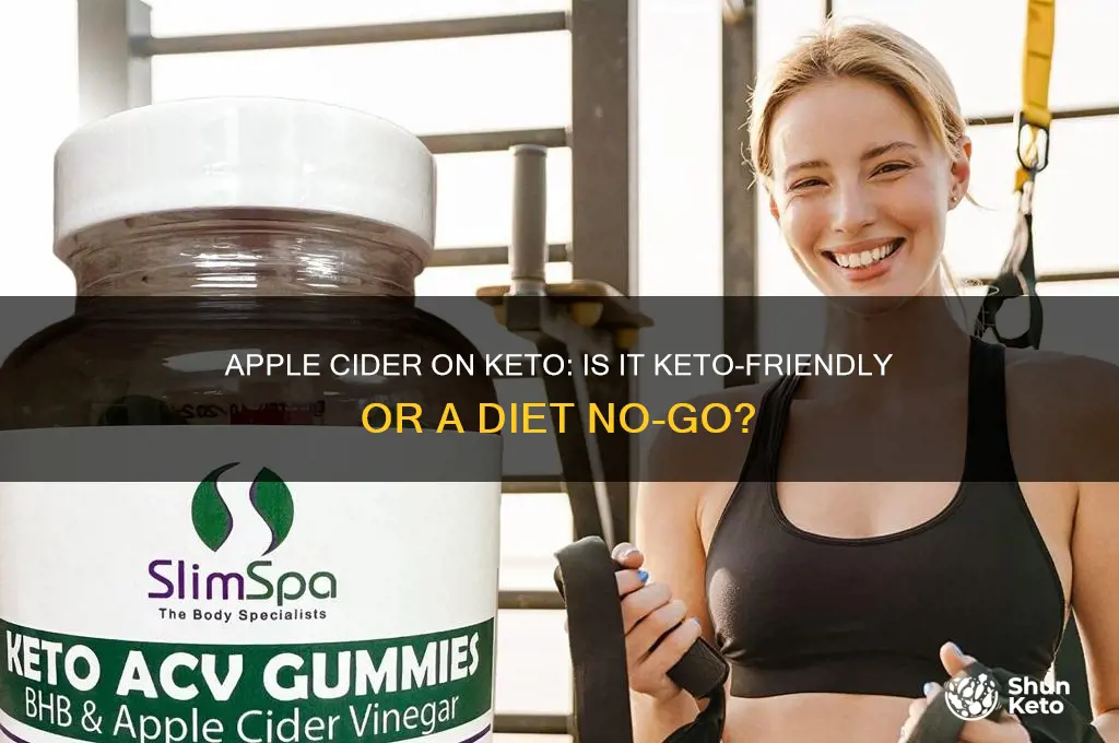 can i have apple cider on keto