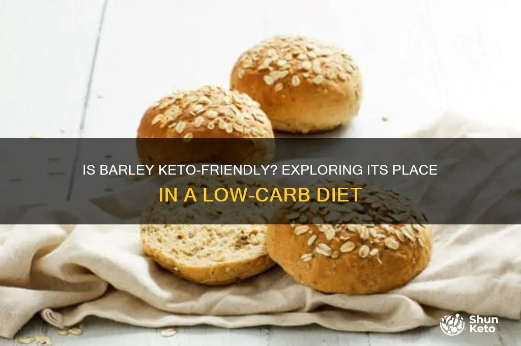 can i have barley on a keto diet