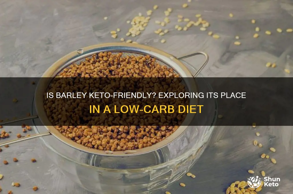 can i have barley on keto
