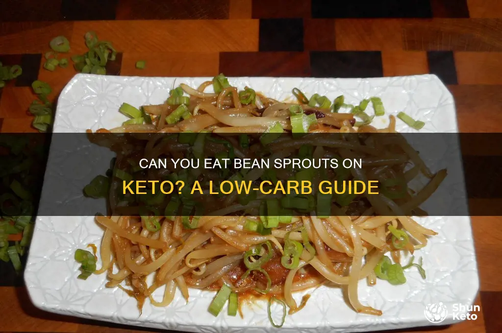can i have bean sprouts on keto