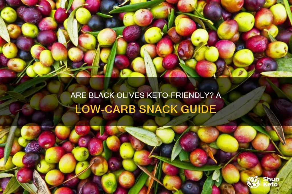 can i have black olives on keto