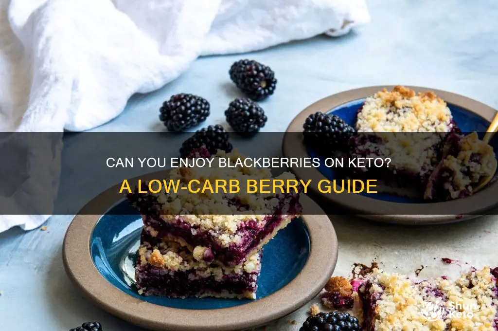can i have blackberries on keto