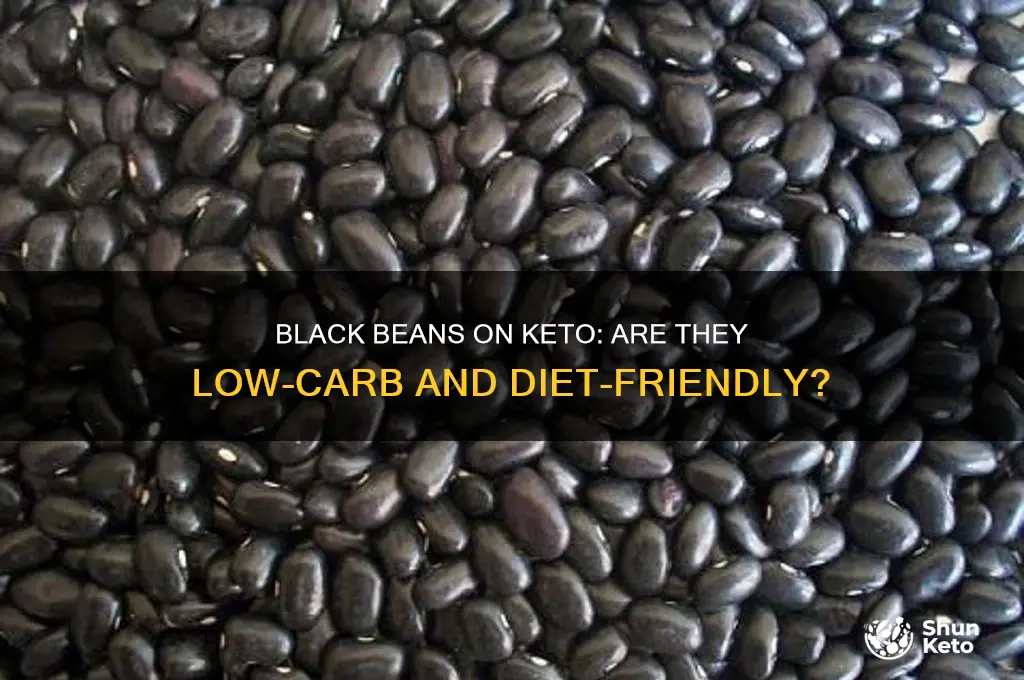 can i have blk beans on the keto diet