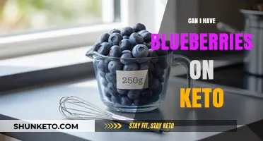 Blueberries on Keto: Are They Low-Carb Enough for Your Diet?