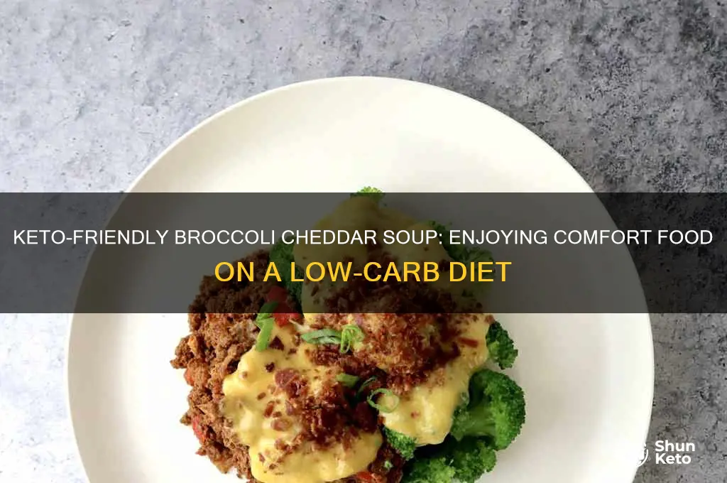 can i have broccoli cheddar soup on keto