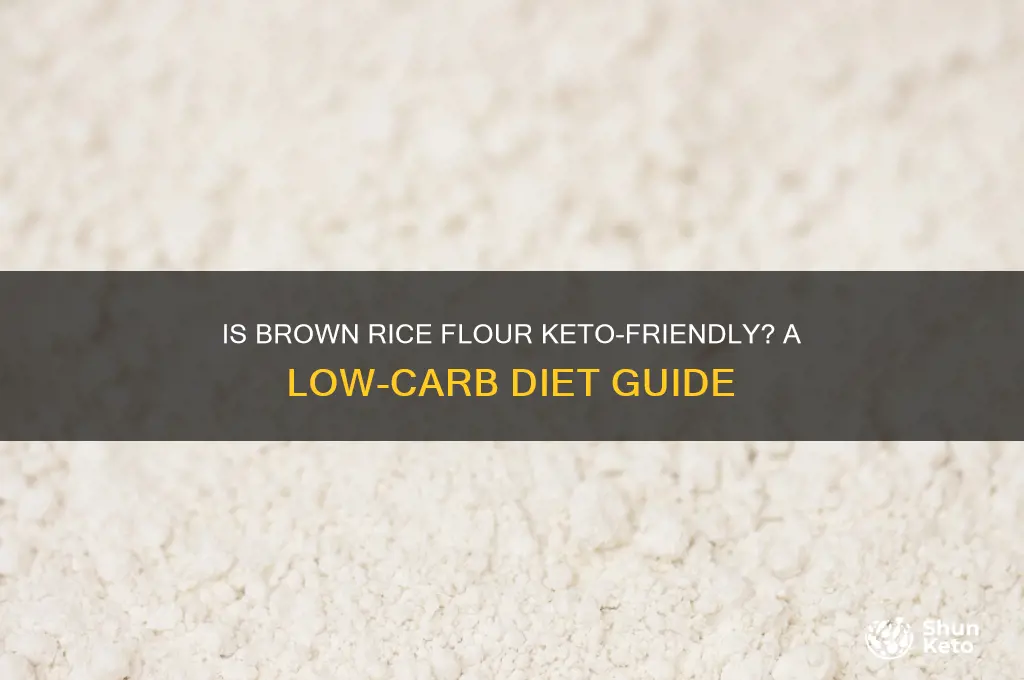can i have brown rice flour on keto