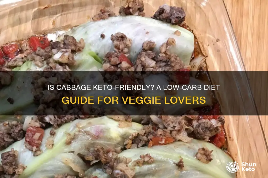can i have cabbage on keto diet