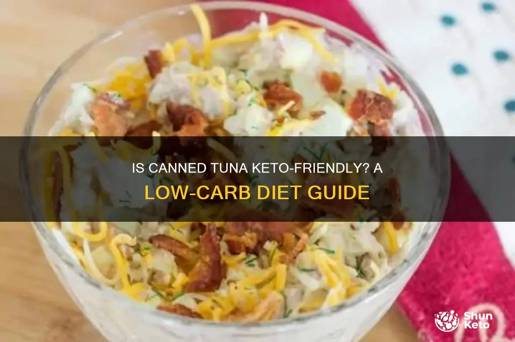 can i have canned tuna on keto diet