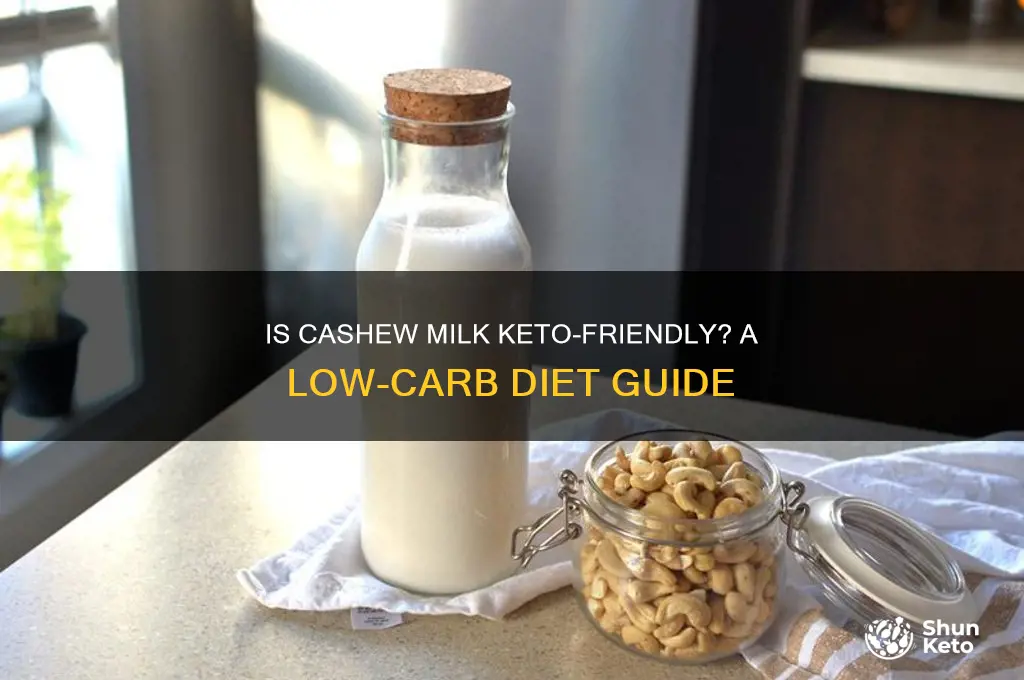 can i have cashew milk on keto diet
