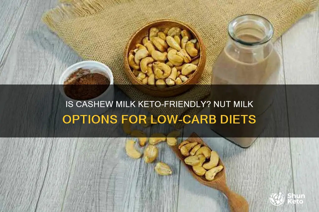 can i have cashew milk on keto