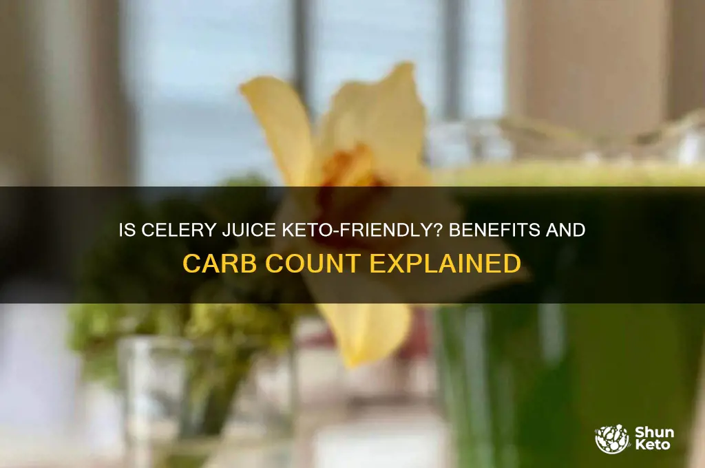 can i have celery juice on keto
