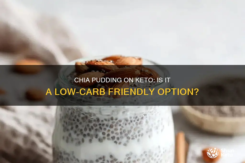 can i have chia pudding on keto diet