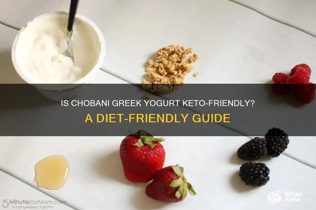 can i have chobani greek yogurt with keto diet